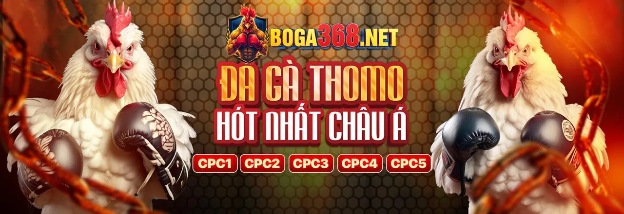 Giao diện đăng nhập Sbobet an toàn