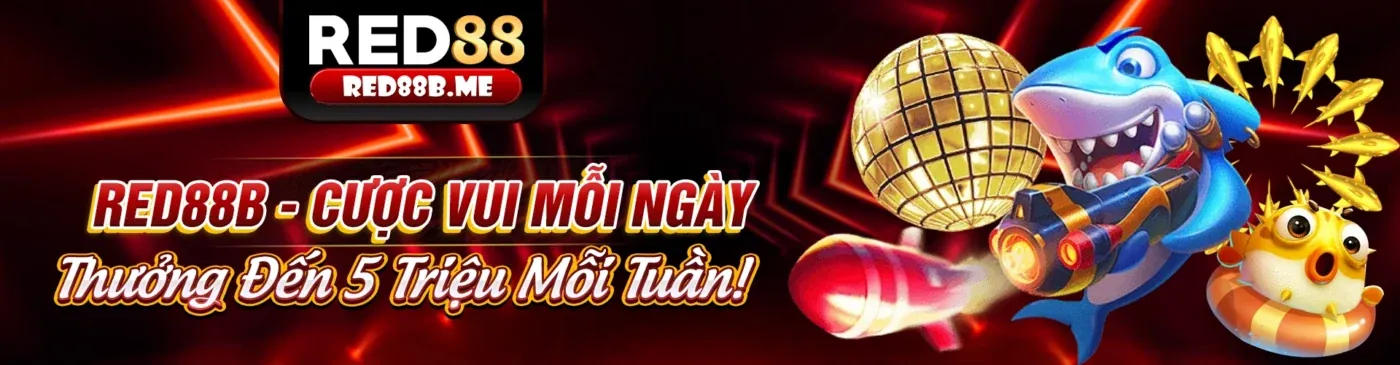 Điều khoản và Điều kiện Sbobet